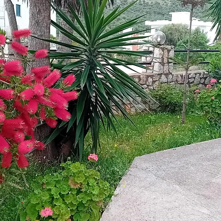 Casa de hóspedes Blue Sea 3*