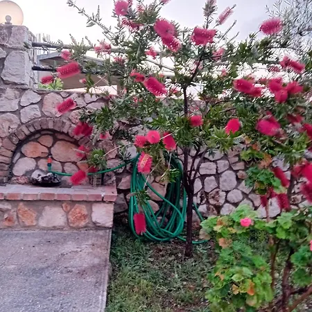 Blue Sea 게스트하우스